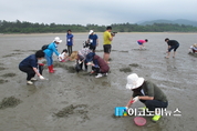 초록빛 바다를 품은 신비한 아일랜드, 전남 신안군 안좌도를 가다