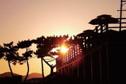<이상훈 칼럼> 영원히 살 것처럼 살아라!