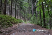 훼손된 국립공원 탐방로 복구액, 5년 간 700억원