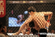 [M포토] ‘케이지 안의 혈투’, AFC 09 & 별들의 전쟁 시즌2
