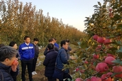 상주시, 중국 영성시 방문 … 천연 다시마비료 사용하는 친환경 사과농장 둘러봐