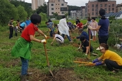 도민에게 텃밭 제공하는 경기도, 동탄·삼송 등으로 확장 6만4,000여㎡