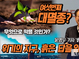 여섯 번째 대멸종을 앞에 둔 지구, 흙은 그 답을 알고 있다!