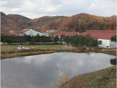 (주)이담 이미지