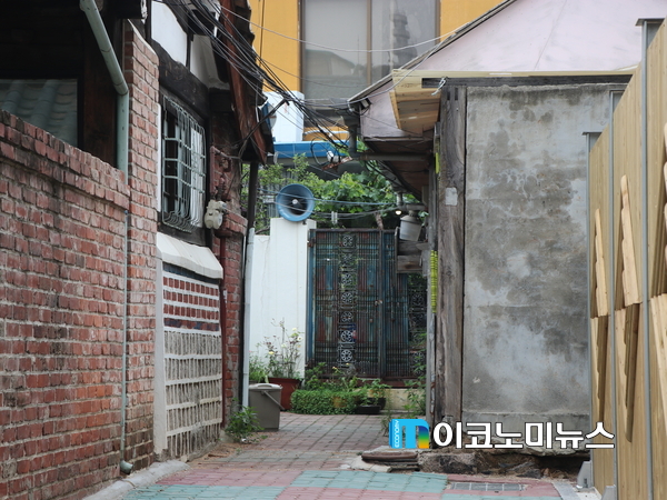 김선재 기자