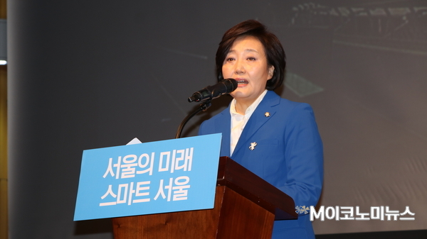 박영선 더불어민주당 의원