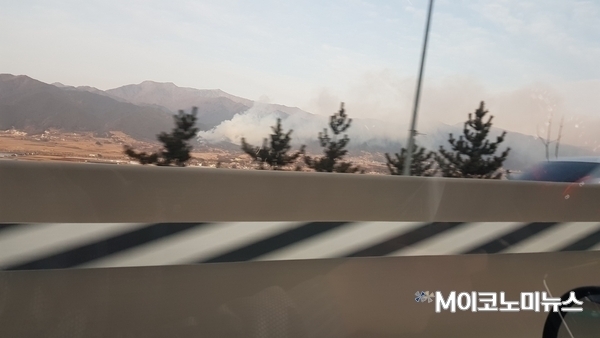 지난 16일 전남 구례군 광의면 대전리 인근 지리산 자락에서 발생한 산불(사진 : 시민제보)