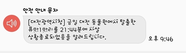 사진 : 독자제공
