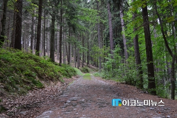 사진 : M이코노미뉴스DB