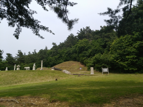 흥선대원군 묘역<사진제공 : 경기도>