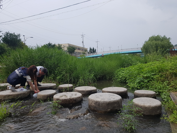 채수장면 <사진 : 경기도 제공>