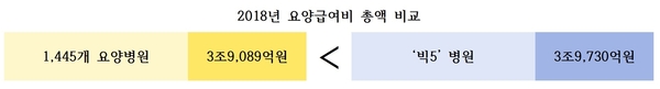 2018년 요양급여 총액 비교 / 자료 : 대한요양병원협회