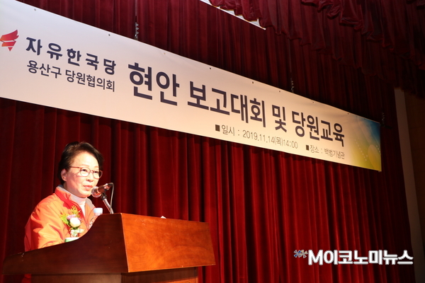 황춘자 용산구당협 조직위원장