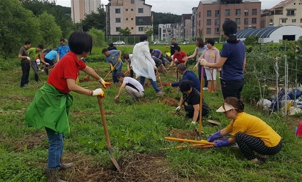 텃밭을 경작하고 있는 경기도민들<사진 : 경기도 제공>