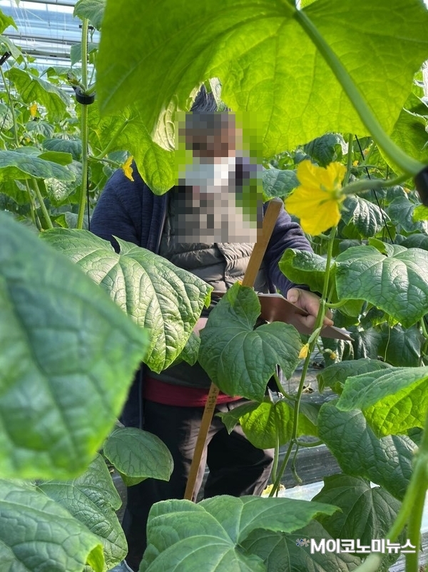 사진촬영 / 박홍기 기자 