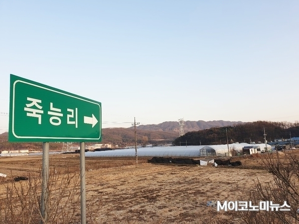 SK하이닉스 반도체 클러스터 부지 인근인 용인시 처인구 원삼면 죽능리 일대 모습. 기사와 무관. 