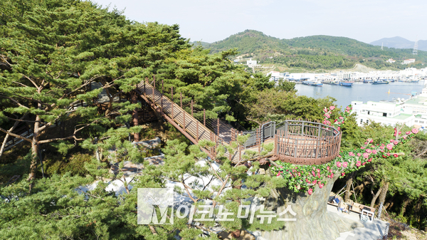 사진/ 통영 남망산 숲하늘길 