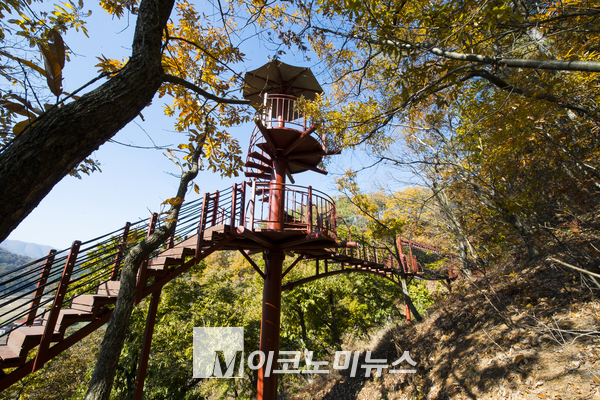 사진/ 공주 소랭이 숲하늘길 