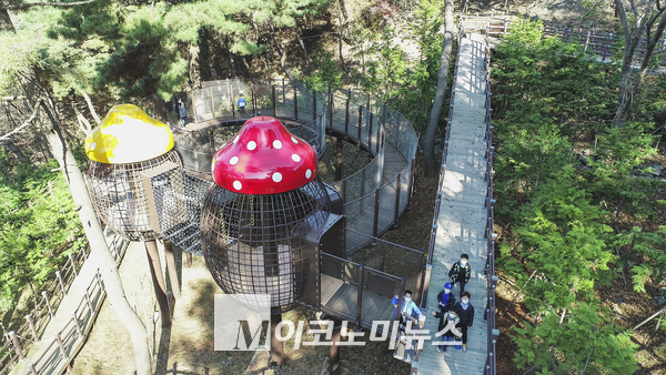 사진/ 보령 성수산 숲하늘길 