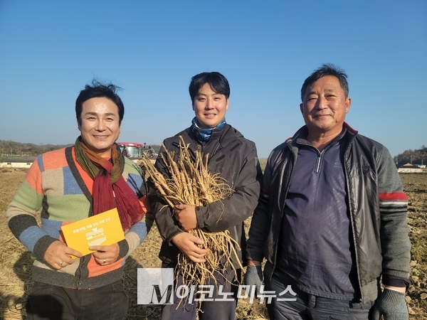  권태섭, 영재 부자가 5천평 밭에서 금손다시마로 30%이상 증산한 황기. 올해 수확한 황기는 매끈하고 큰 것이 특징이다. 권태섭 오케이농장 대표 (우), 영농후계자 아들 권영재 씨(중앙) 