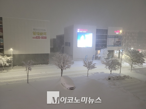 25일 강원 영동지방에 내린 폭설로 한 차량이 온통 눈으로 뒤덮여 있다. / 사진 : 시민제보