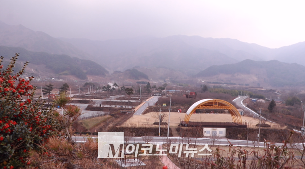 사진/ 하단부에서 보이는 지리산. 이날 기온이 상당히 내려가고 안개가 짙게 낀 상태라 산봉우리를 볼 수는 없었다. 
