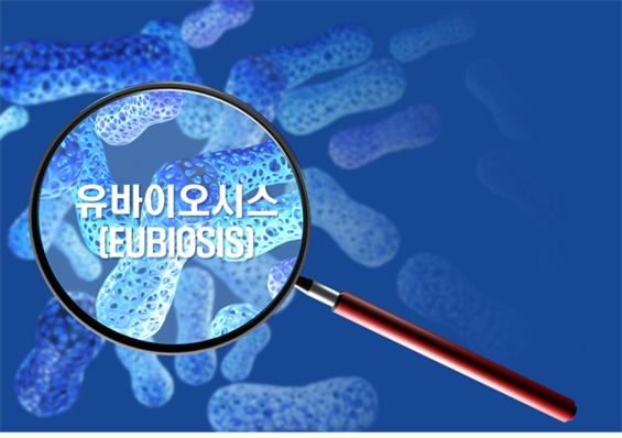 shutterstock 제공