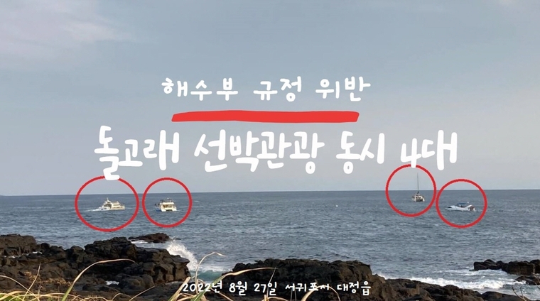 사진/ 해양환경단체 핫핑크돌핀스 제공 