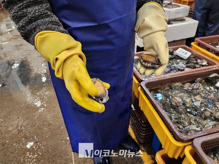 10일 오전 5시경 노량진 수산시장 도매시장에서 어패류를 파는 한 상인이 전복을 들어보이고 있다. <사진: 김종현 기자>