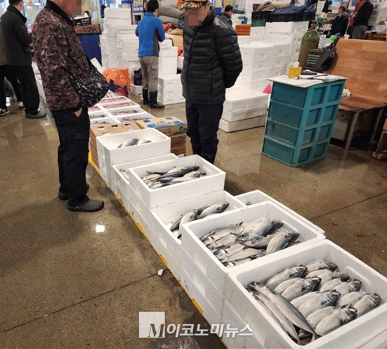 노량진 수산시장 도매시장에서 한 시민이 스티로폼 박스에 포장돼 진열돼 있는 자반고등어를 보고 있다. <사진: 김종현 기자>