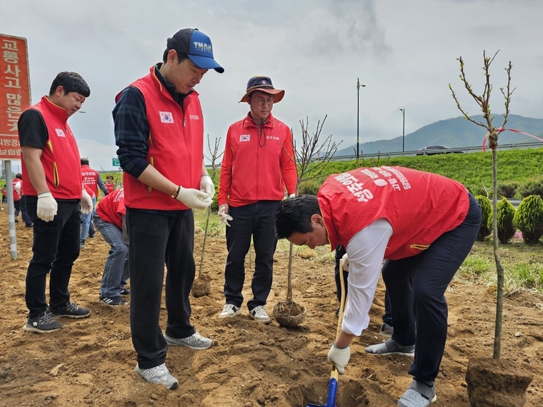 정희용 국민의힘 국회의원이 29일 오전 성주군 대가면 교통섬 일대에서 무궁화 나무를 심고 있다. <사진: 정희용 의원실 제공>