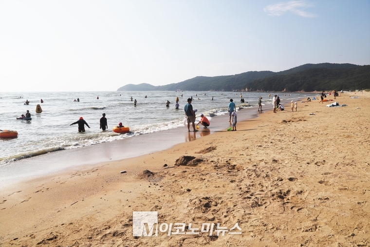 서울에서 제일 가까운 해수욕장인 인천 중구 을왕리 해수욕장, 자전거로 이곳에 가려면 공항철도를 이용해 서울역 기준으로 1시간 거리인 인천공항1터미널까지가서 약 15km를 더 가면 된다. 터미널역에서부터 을왕리까지 초보자의 경우 50분 정도 걸린다. 하지만 자전거 도로가 잘 이어져 있지 않아서 대부분 길을 잃고 헤매다가 결국 무단횡단을 해서 겨우 도착하게된다. 