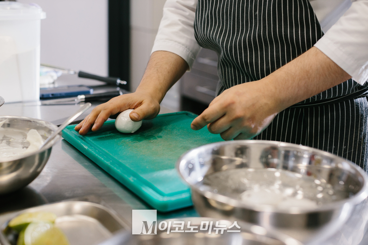 엔바토 엘라먼트 