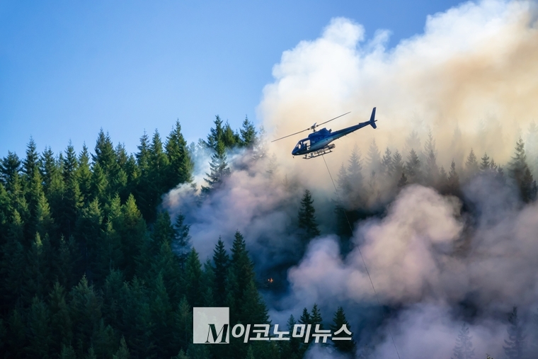 엔바토 엘라먼트 