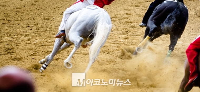 엔바토 엘라먼트 