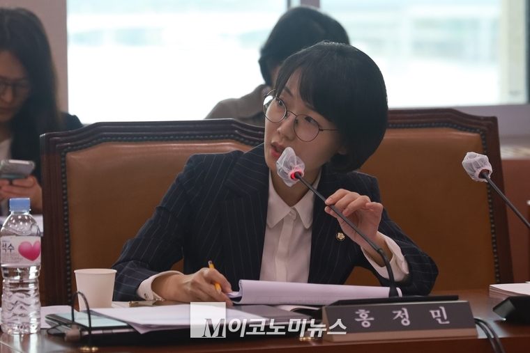 더불어민주당 홍정민 의원 