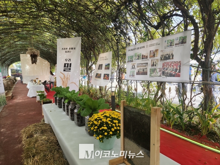 구례밀 짜장면 페스티벌 행사장에 마련된 그린존(green zone). 