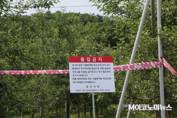 사진/ 2020년 충북 충주시 사과농장 촬영/ 당시 과수화상병이 발생했던 농장 앞에 출입금지 안내문이 붙어 있다. 