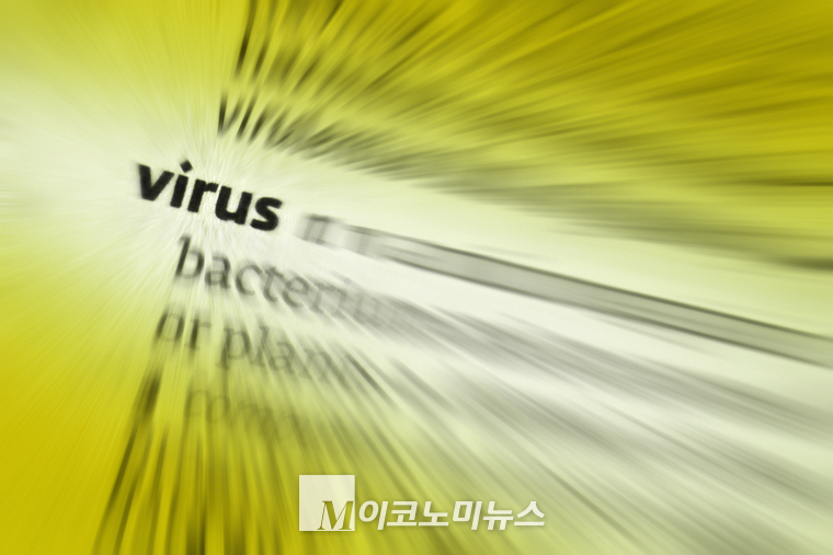 엔바토 엘라먼트 