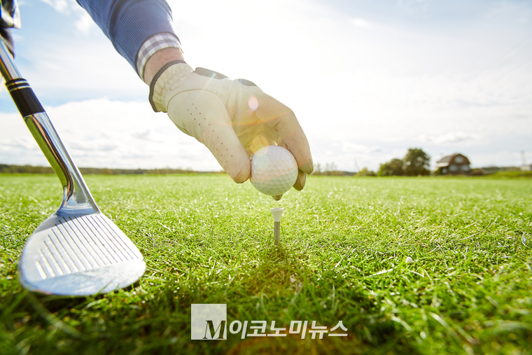 엔바토 엘라먼트 