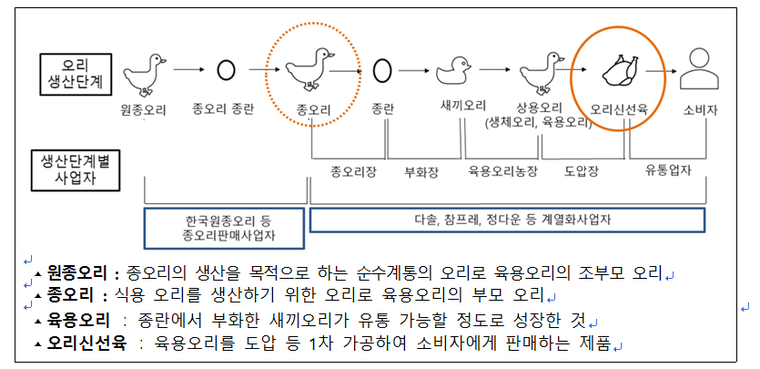 오리 생산 단계별 개념
