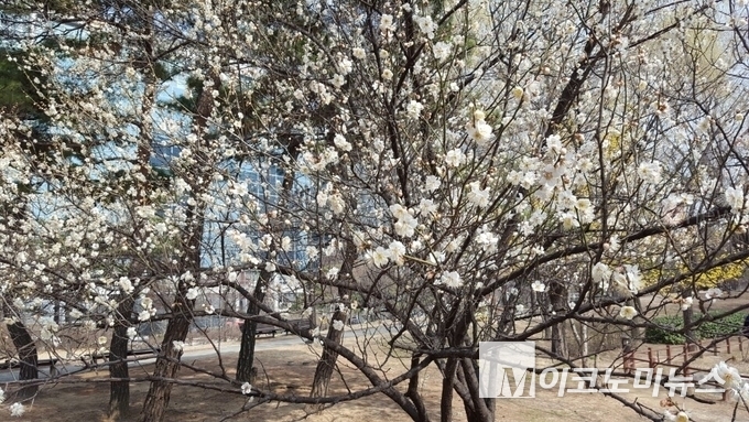 사진= M이코노미뉴스 DB