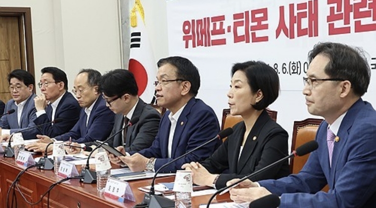 당정은 티메프 사태와 관련 협의회를 열고 재발 대책을 발표하고 있다. (사진=연합뉴스)