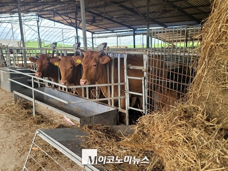M이코노미뉴스 자료 사진 