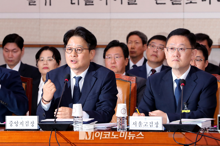 이창수 중앙지검장(왼쪽)과 박세현 서울고검장이 18일 실시된 법사위 국정감에 증인으로 출석했다. (사진=최동환 기자)