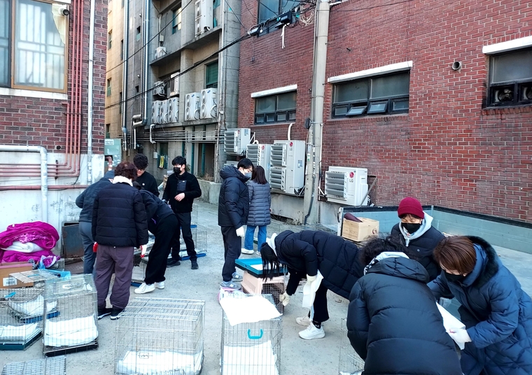 고양이 입양절차 모습 <장안구 율천동 제공> 