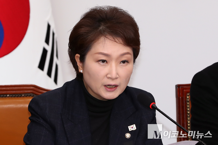이언주 더불어민주당 최고위원. 사진=최동환 기자