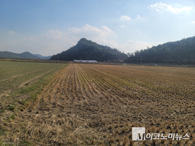 M이코노미뉴스 자료 사진 