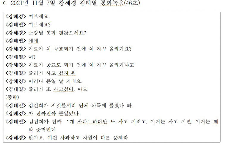 자료=명태균게이트 진상조사단