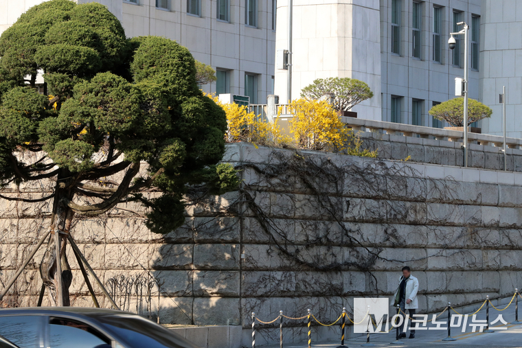 국회 본청 담벼락에 개나리가 활짝 피어있다. 사진=최동환 기자